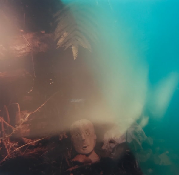 Sean Lotman, Yakushima masks, 2010