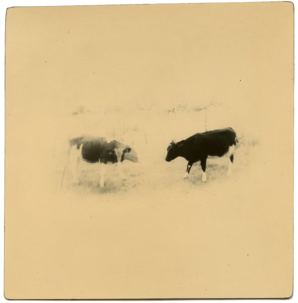 Miho Kajioka, BK0575, 2015
