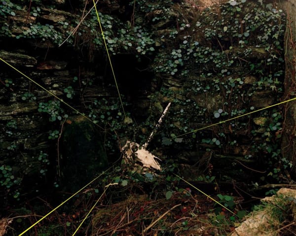 David Favrod, Le liseur de rêves, 2018