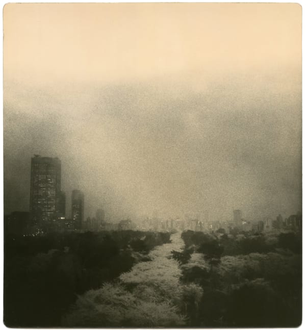 Miho Kajioka, BK0185, 2016