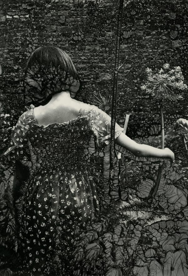 Ingrid Dorner, Liminal.III.18, 2025