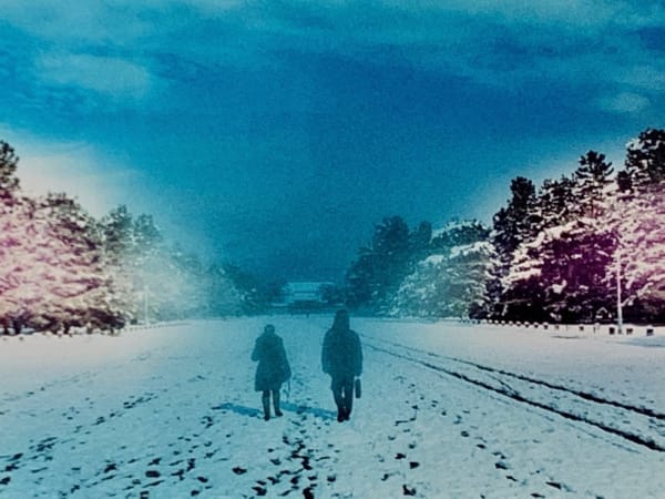 Sean Lotman, A walk in the snow, 2015