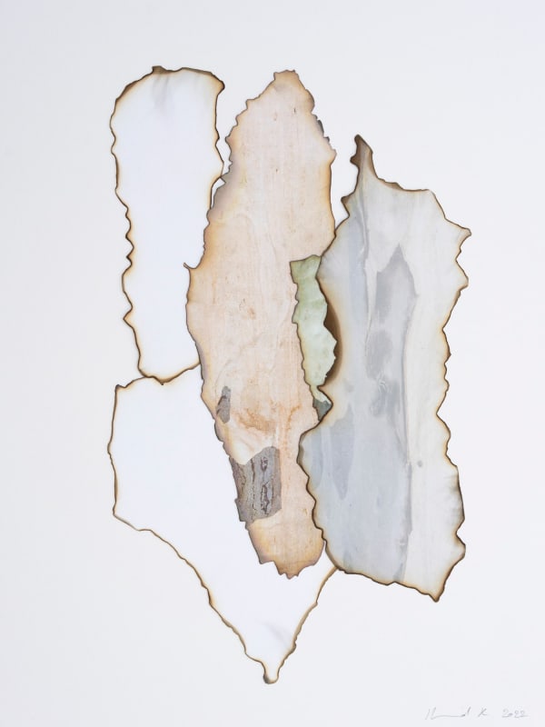 Morvarid K, This Too Shall Pass 3-17, 2022