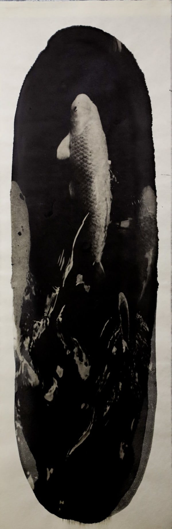 Naohiro Ninomiya, Nokomi-9, 2016