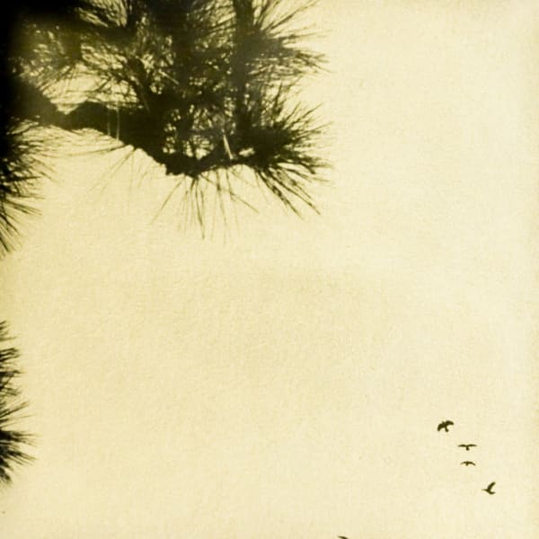 Naohiro Ninomiya, Glanage-72, 2023