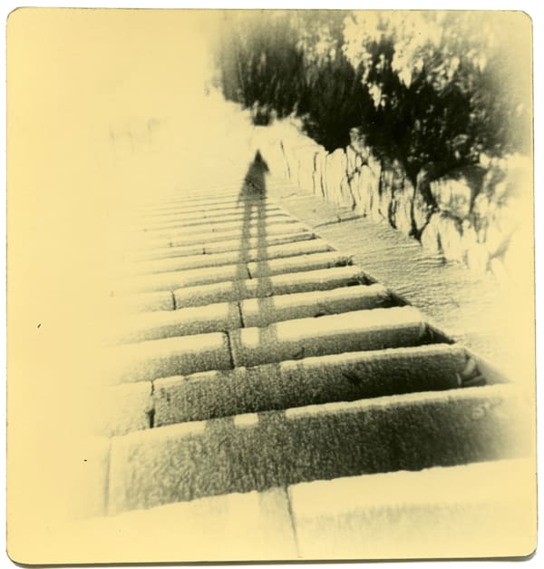 Miho Kajioka, BK0284, 2016