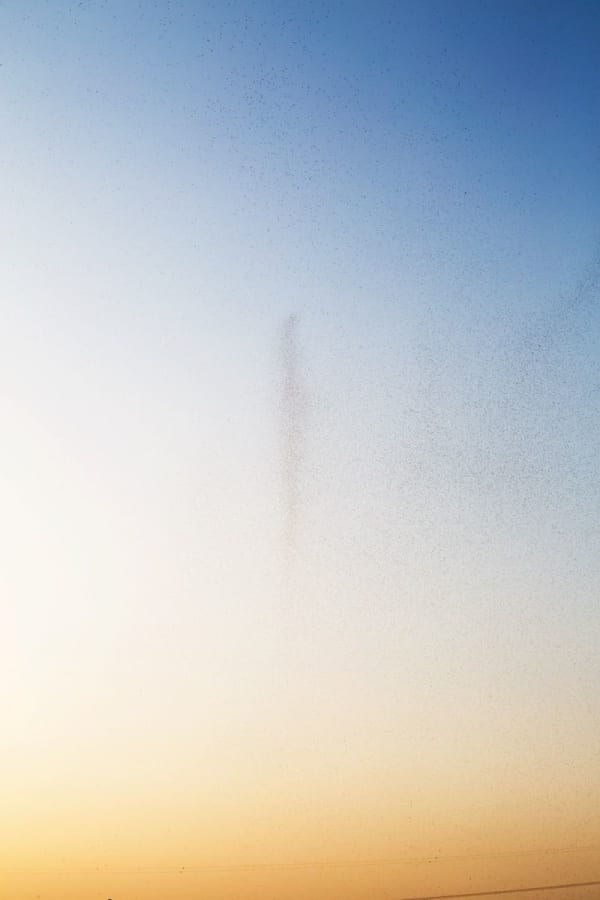 Yoshinori Mizutani, Yusurika 044, 2015
