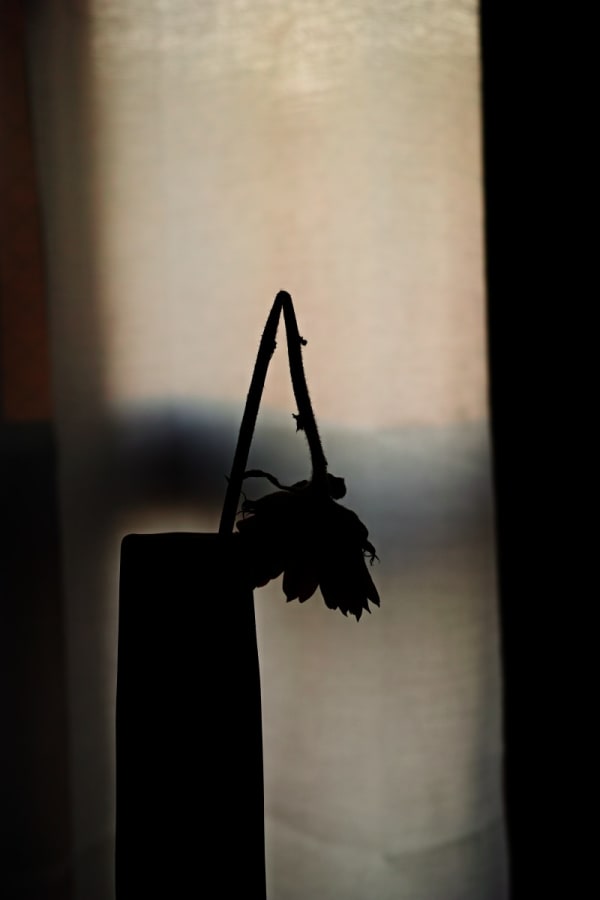 Sudi, Untitled 34, 2020