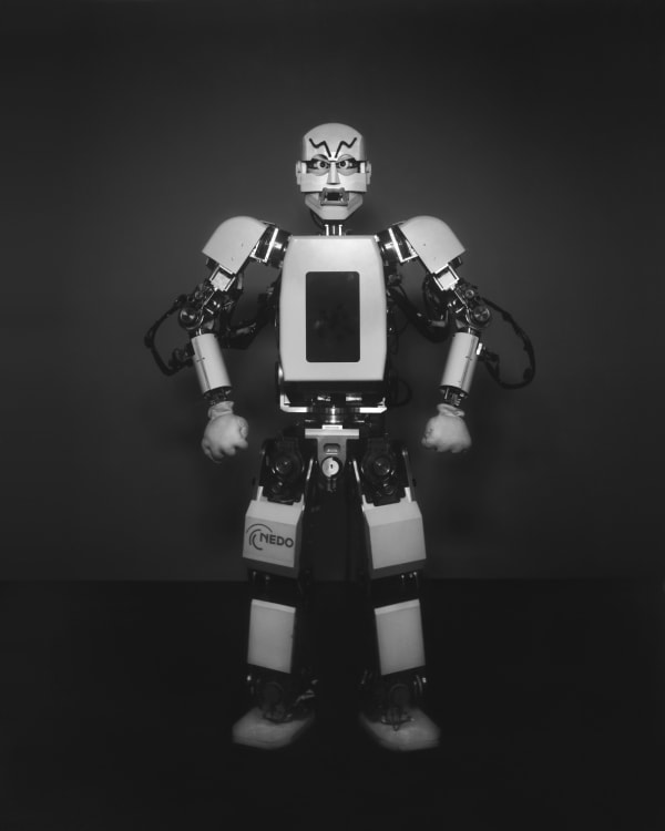 Wanda Tuerlinckx, Kobian-R, Takanishi Laboratory of Waseda University, Tokyo, Japan, 2017