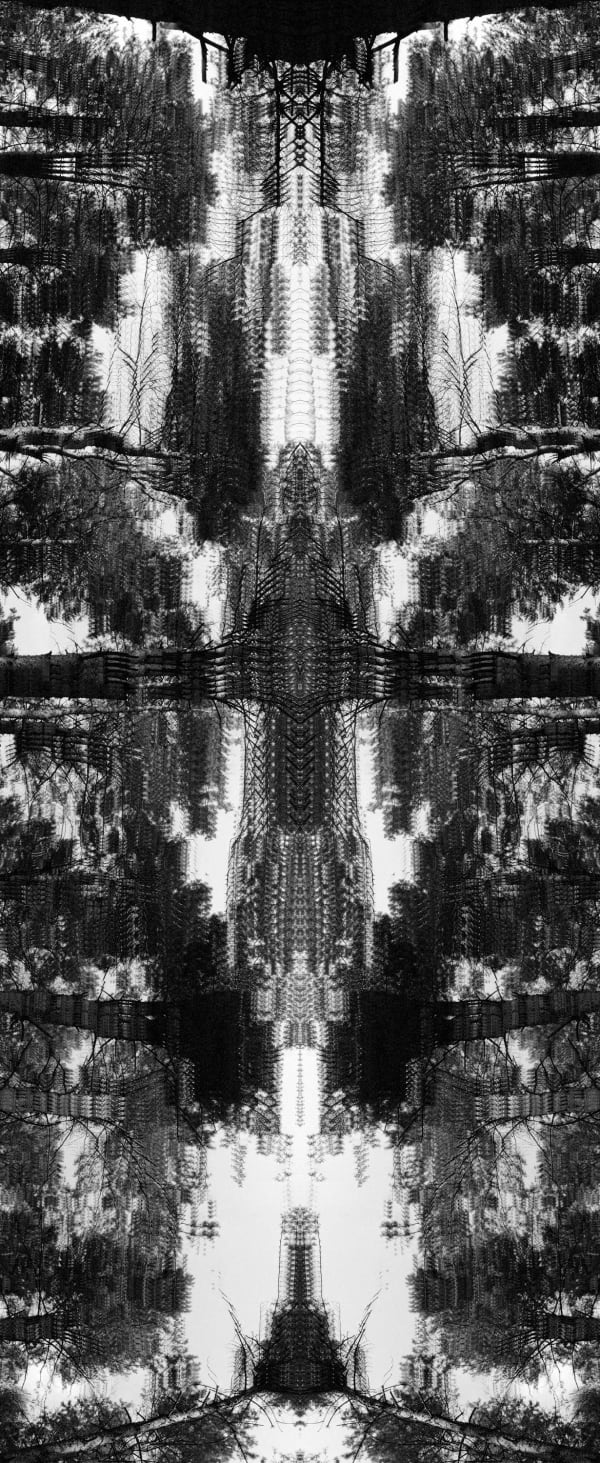 Anton Kusters - Totem I, 2026