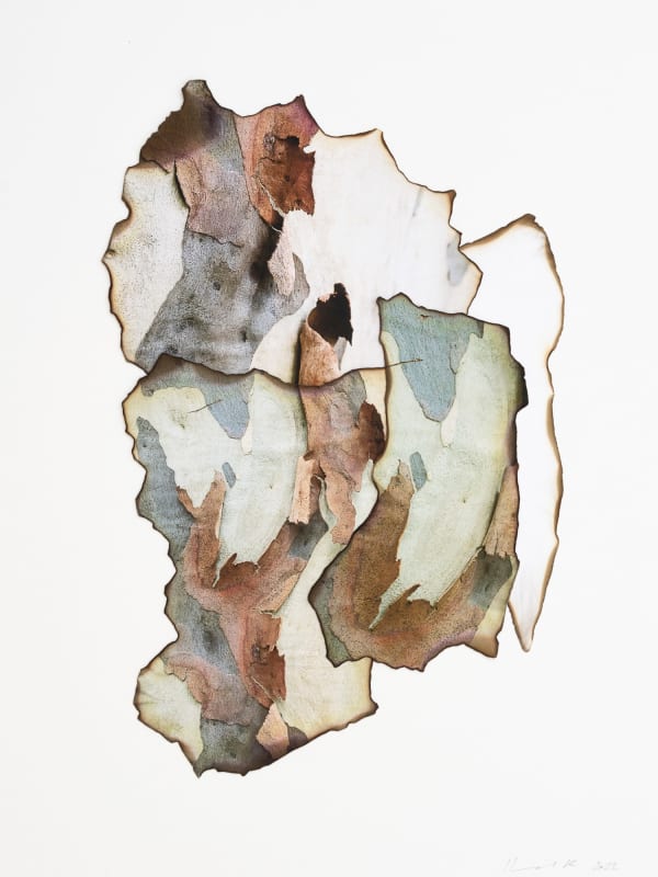 Morvarid K, This Too Shall Pass 3-11, 2022