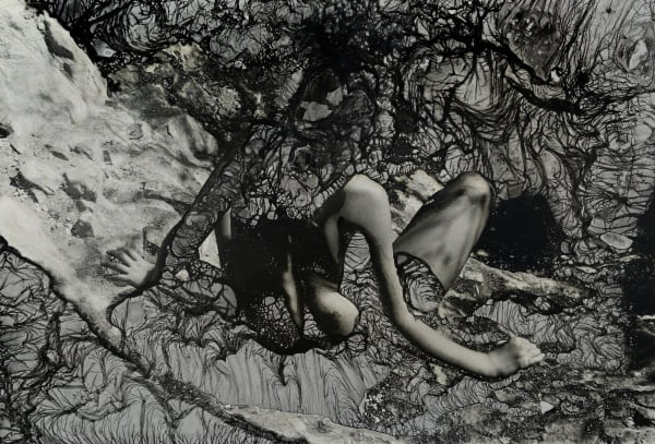 Ingrid Dorner, Liminal.III.10, 2024