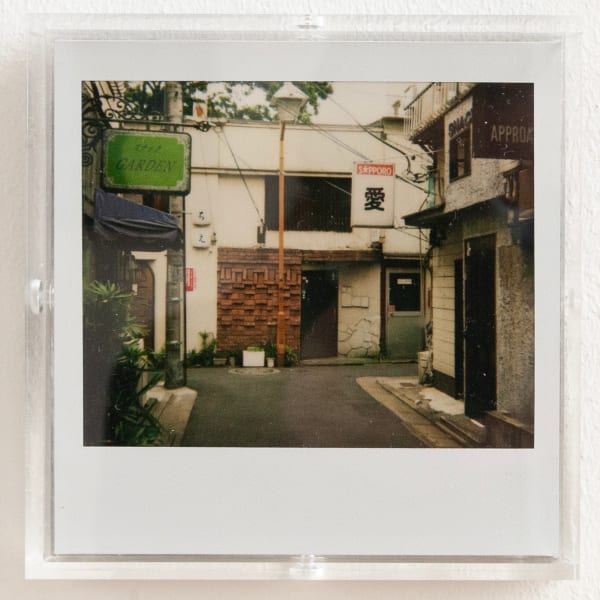 Daido Moriyama, Bye bye Polaroid, 2008