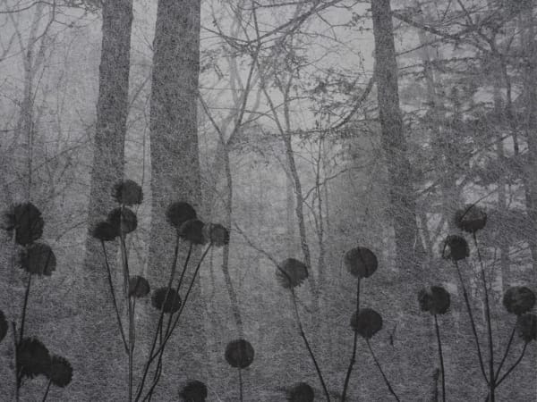 Junko Hirano, Nature Faith 5NW-6, 2023/2025