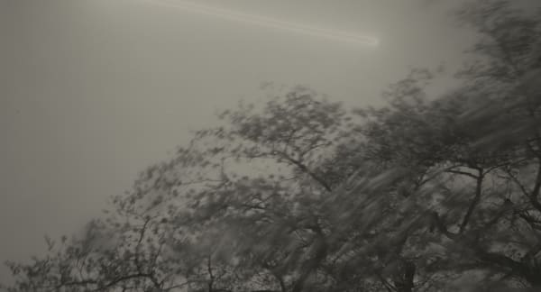 Keiichi Ito, F1361, 2019