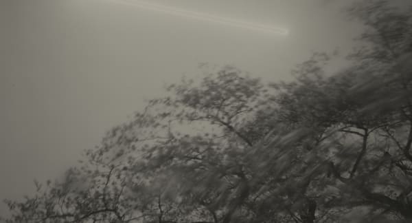 Keiichi Ito, F1361, 2019