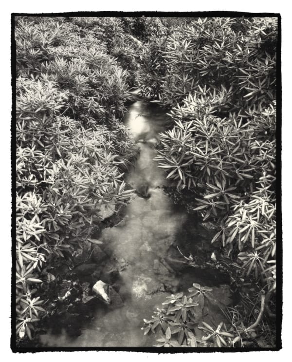 Nobuyuki Kobayashi, izumi, 2019