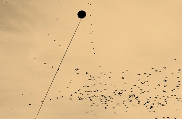 Paul Cupido, Sua Sponte #5