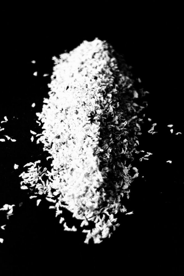 Munemasa Takahashi, Laying Stones 021, 2014