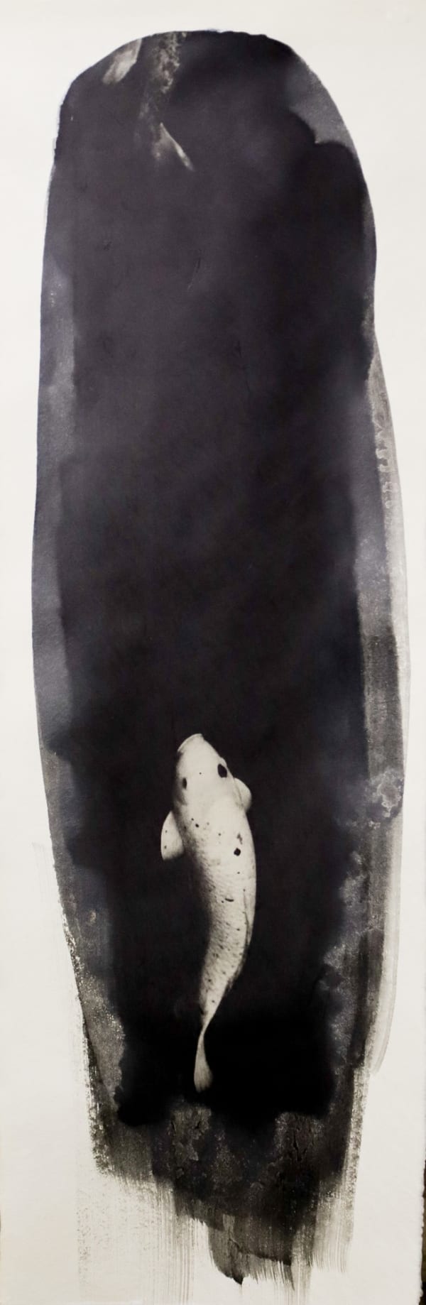 Naohiro Ninomiya, Nokomi-11, 2022