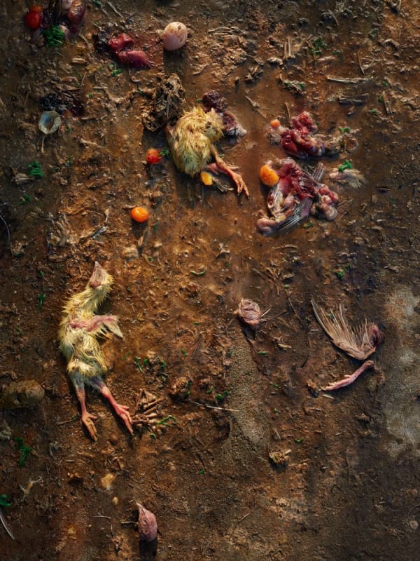 Guillaume Simoneau, Untitled from Murder (remains), Takeo city, Saga pref., Japan, 2016