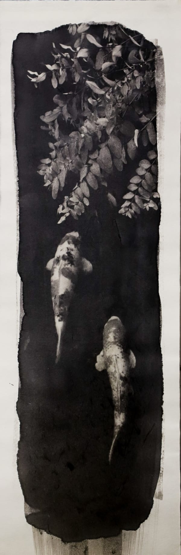 Naohiro Ninomiya, Nokomi-20, 2022