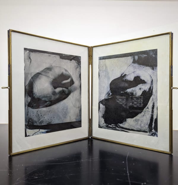 Tomasz Laczny, Plague 14, Plague 15, 2022