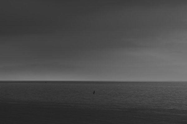 IBASHO Photo Competition 2016, Tine Guns - The Diver (page 30), 2014