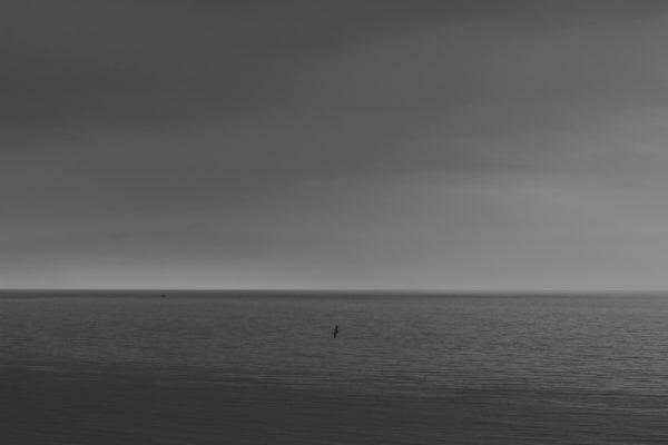 IBASHO Photo Competition 2016, Tine Guns - The Diver (page 30), 2014