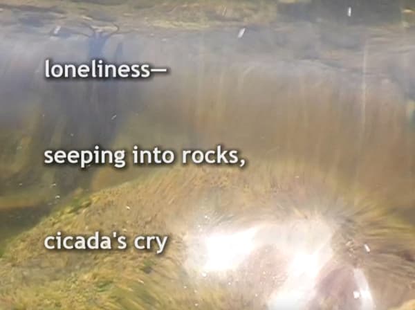 Madelon Hooykaas, Loneliness Haiku, from 'Haiku, the art of the present moment', 2007/2023