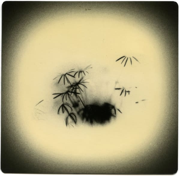 Miho Kajioka, #0020, 2021