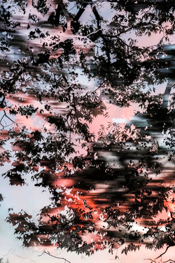 Yoshinori Mizutani, HDR_Nature 005, 2016-2018