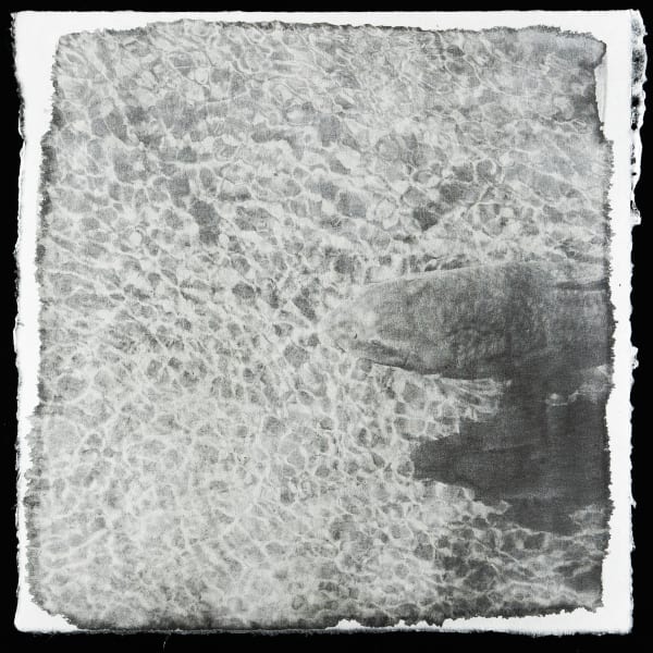 Naohiro Ninomiya, Nokomi-13, 2017