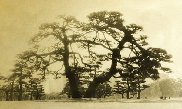 Naohiro Ninomiya, Glanage-65, 2023