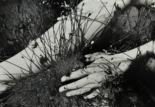 Ingrid Dorner, Liminal.III.09, 2024