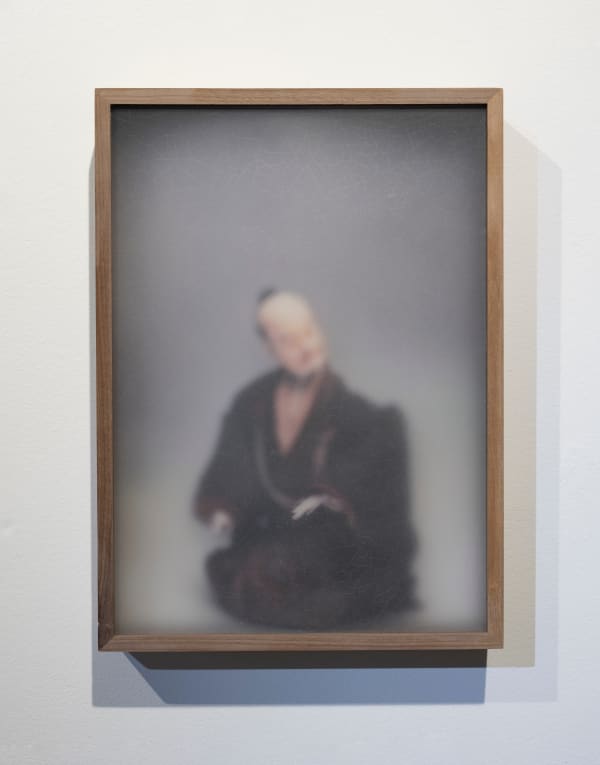 Casper Faassen, ReCollection Siebold 5, 2023