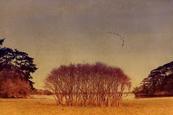 Albarrán Cabrera, The Mouth of Krishna #749, 2018