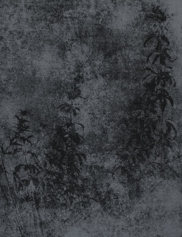 Hideyuki Ishibashi, Burning ground (empreinte #1, film buried in the combustion ground of the terrils du marais de fouquières from August 30 to November 1, 2023), 2023