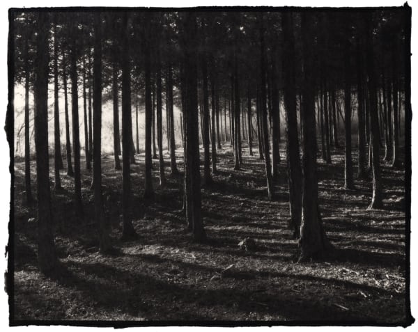 Nobuyuki Kobayashi, tatae 2, 2019