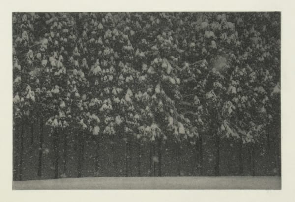 Sayuri Ichida, Phoka #029, 2025