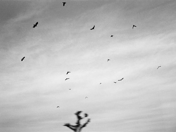 Guillaume Simoneau, Untitled from Murder (flight 01), Takeo city, Saga pref., Japan, 2016