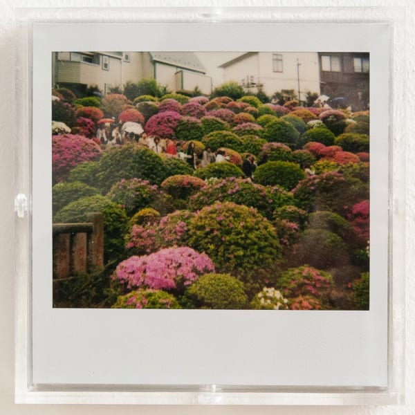 Daido Moriyama, Bye bye Polaroid, 2008