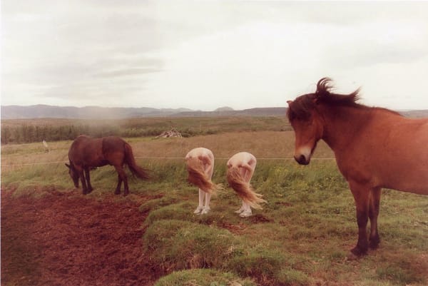 Ariko Inaoka, Eagle & Raven - Wind, 2011