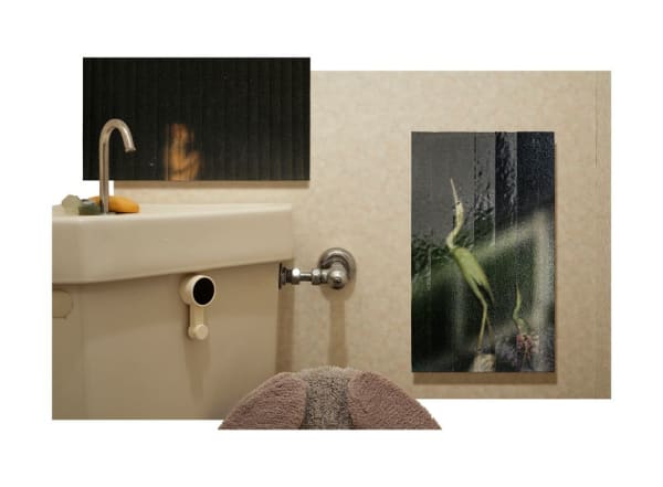IBASHO Photo Competition 2016, Bruno Quinquet - Toilet, 2009-2016