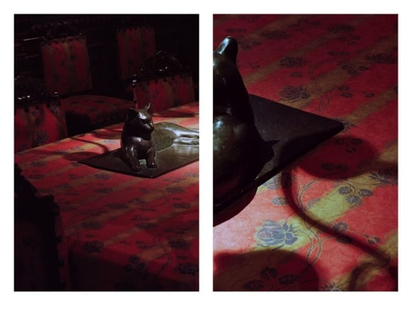 NEKO Project, Shinji Otani - Untitled, 2018