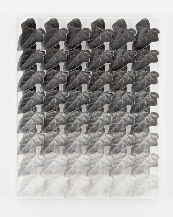 Norio Takasugi, Efeu 16-16, 2016