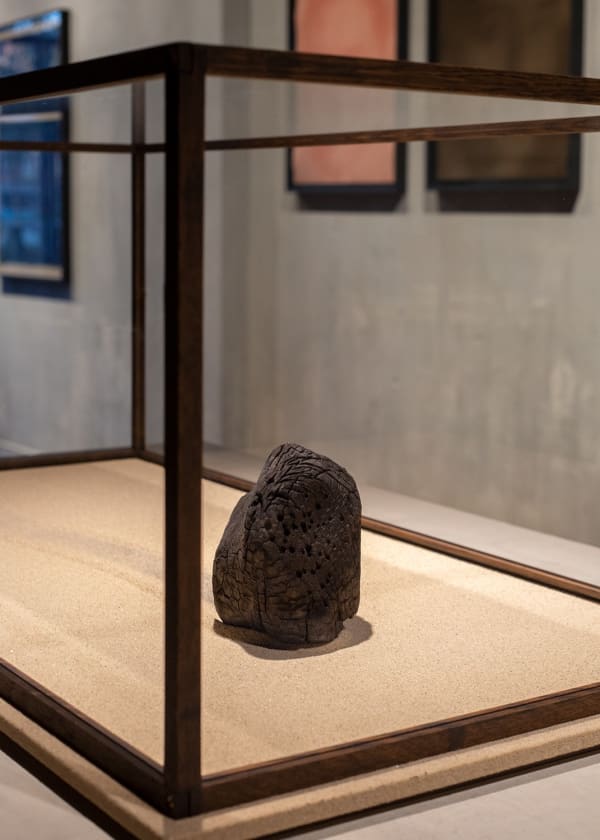 Adam Jeppesen - Charred: Untitled 9, 2024