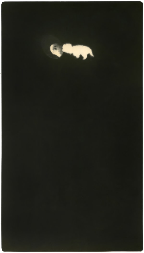 Miho Kajioka, BK0460, 2015