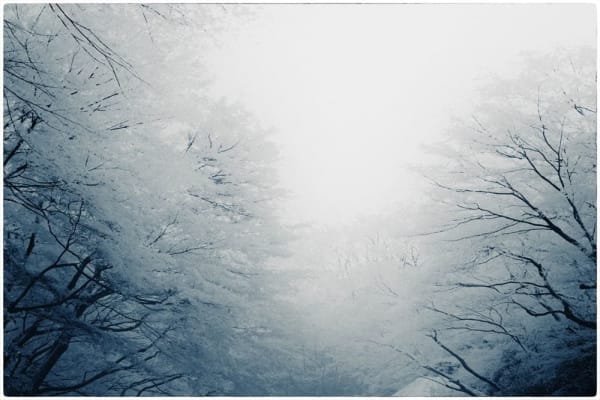 Albarrán Cabrera, The Mouth of Krishna #175, 2013