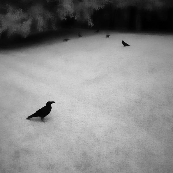 Toshiya Watanabe, Somewhere not here #045, 2018